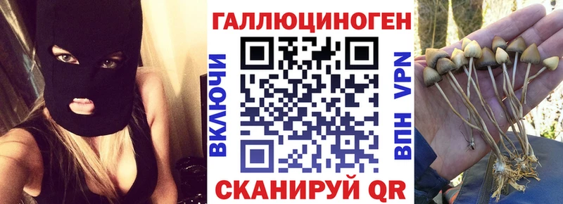 Галлюциногенные грибы Psilocybe  MEGA ССЫЛКА  Нарьян-Мар 